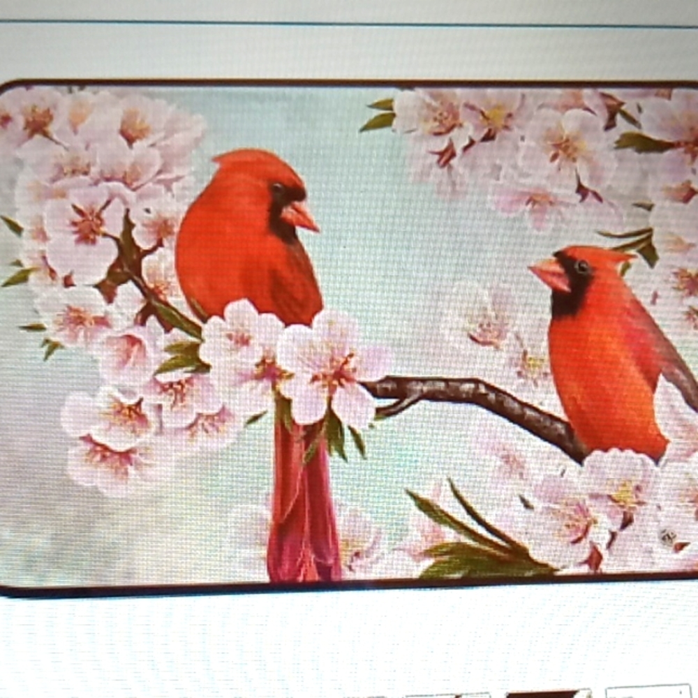 Beautiful Cardinals with cherry blossoms door mat rug NWT!